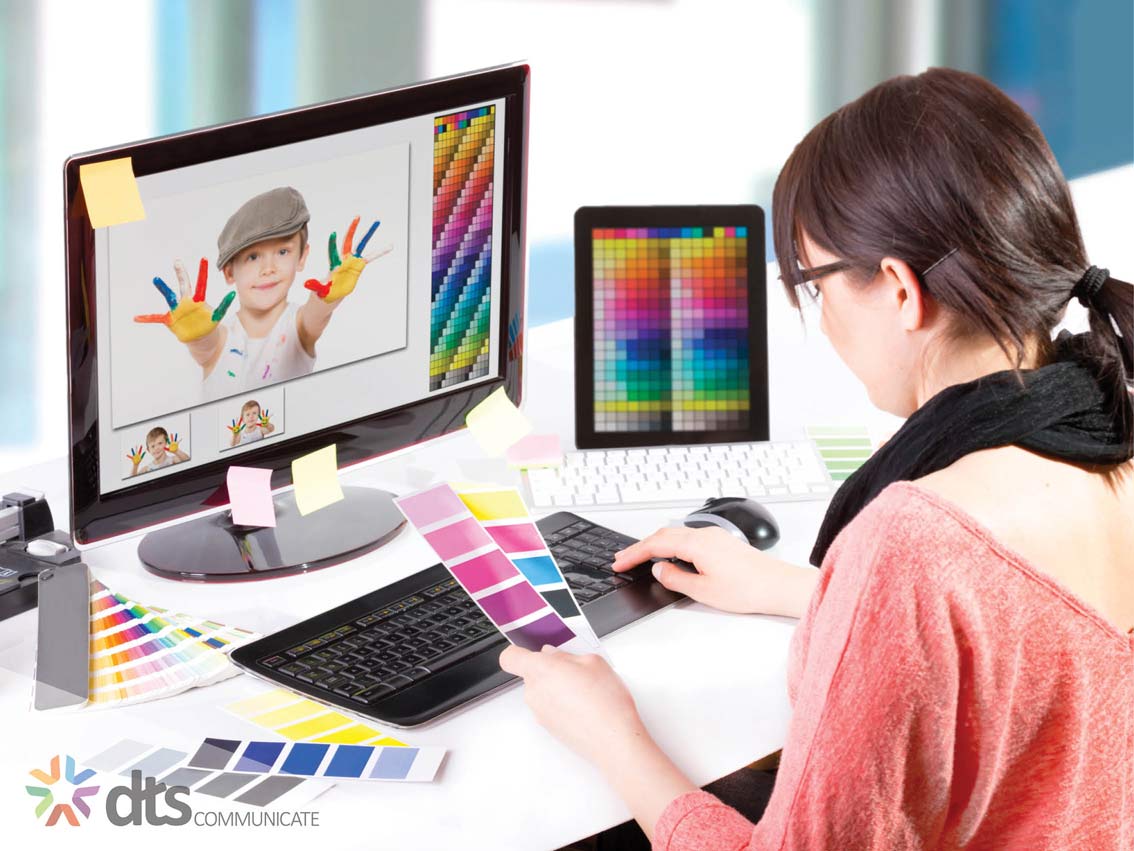 New Graphic Design DTS World Wide Logo Wall Graphics Decals Posters Banners wall paper wallpaper